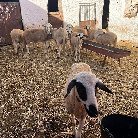 Khaima Oulad Abbou Εξωτερικό φωτογραφία