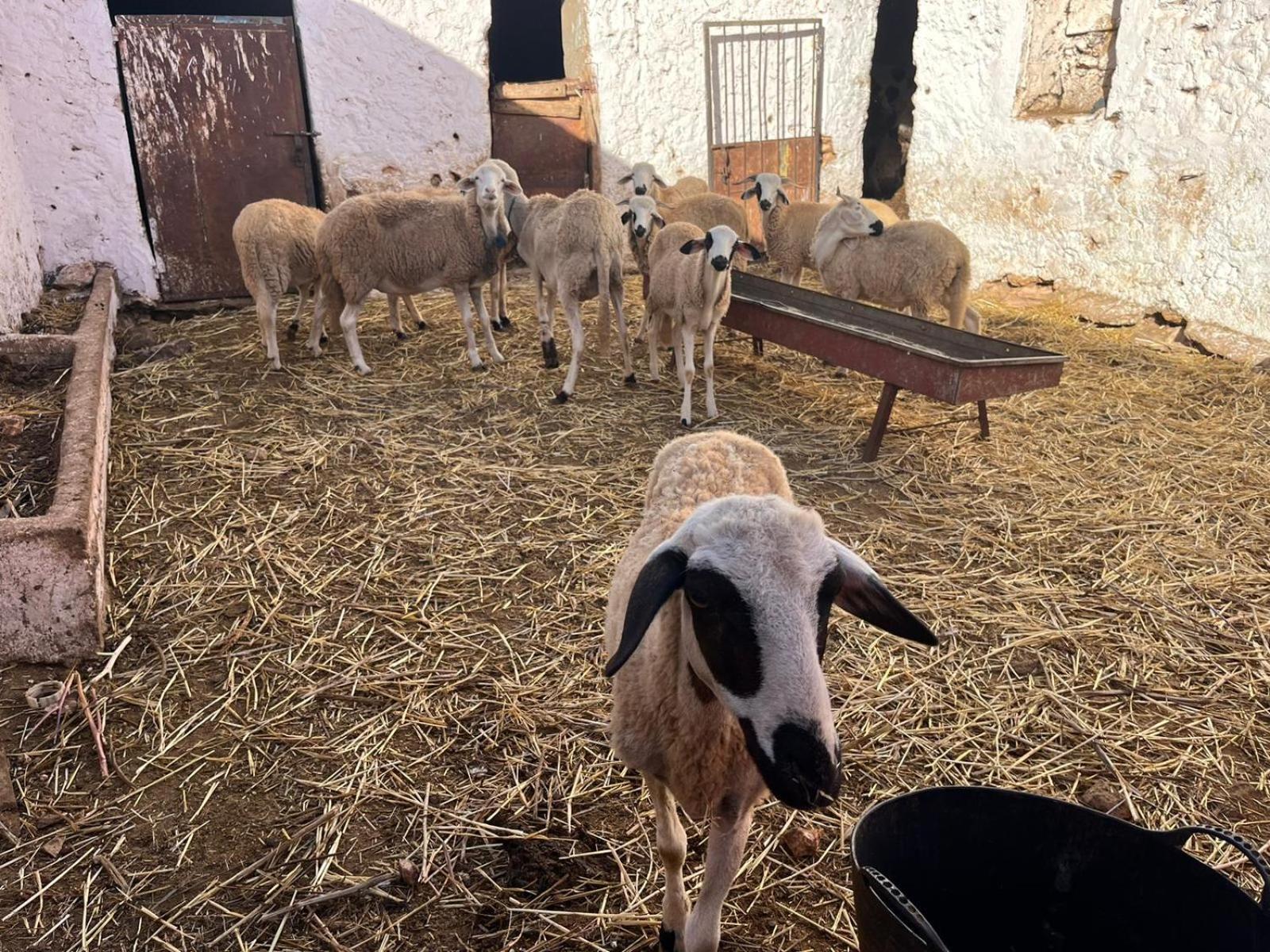 Khaima Oulad Abbou Εξωτερικό φωτογραφία